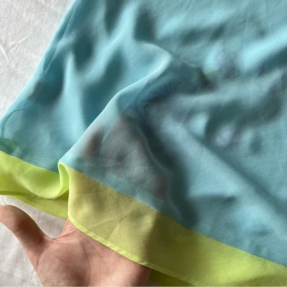 Vintage Sheer Mini Dress - Picture 6 of 8